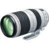 Canon EF 100-400mm f/4.5-5.6 L IS USM