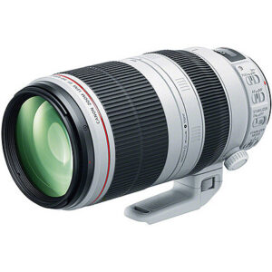 Canon EF 100-400mm f/4.5-5.6 L IS USM