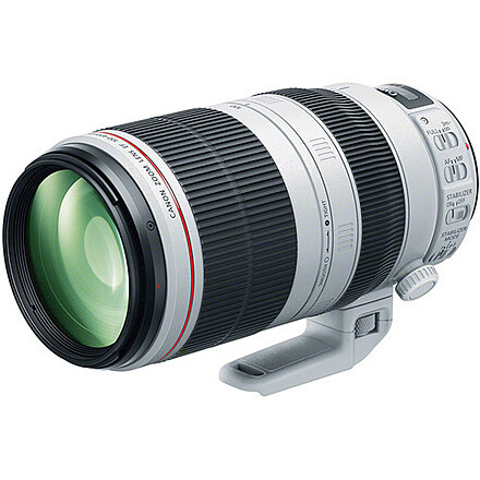 Canon EF 100-400mm f/4.5-5.6 L IS USM